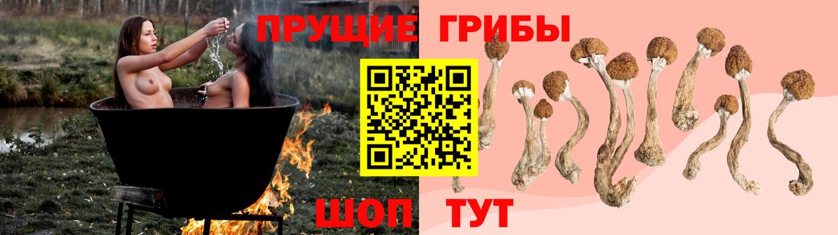как найти закладки  Вход с VPN  Рассказово  Галлюциногенные грибы MAGIC MUSHROOMS 